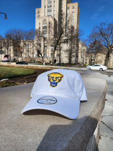 New "Panthers" Logo Hat - 4 Colors