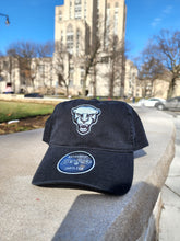 Load image into Gallery viewer, New &quot;Panthers&quot; Logo Hat - 4 Colors
